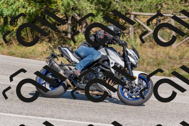 202509201431-DSC_3151_c4_