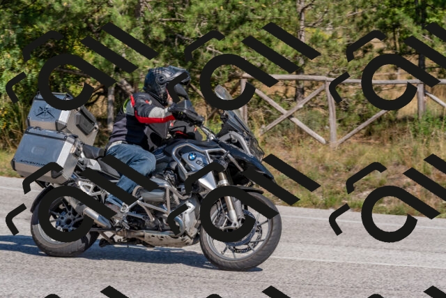 202509201431-DSC_3157_c4_