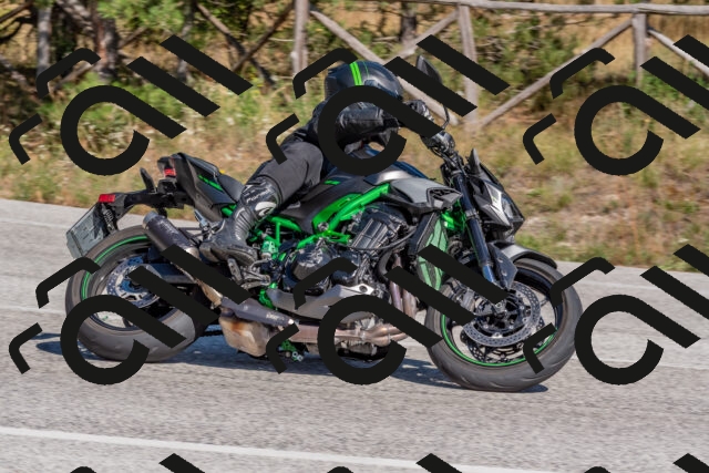 202509201432-DSC_3168_c4_