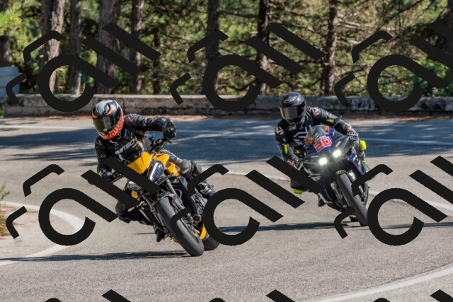 202509201433-DSC_3170_c4_