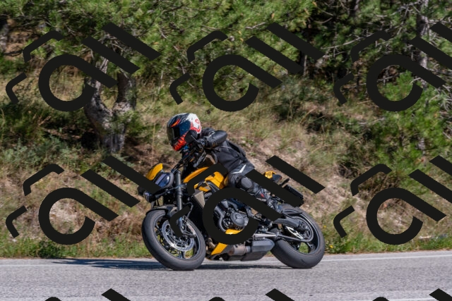 202509201433-DSC_3171_c4_