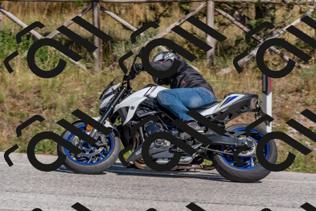 202509201442-DSC_3201_c4_