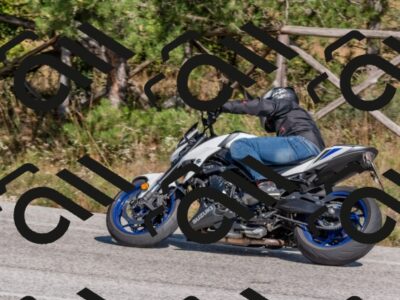 202509201442-DSC_3202_c4_