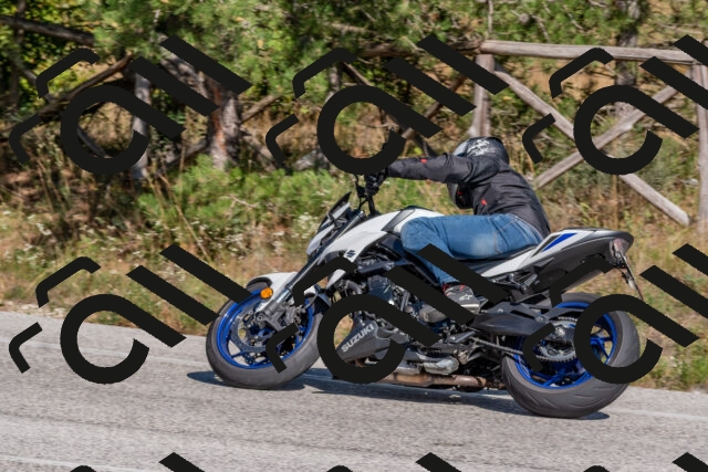 202509201442-DSC_3202_c4_