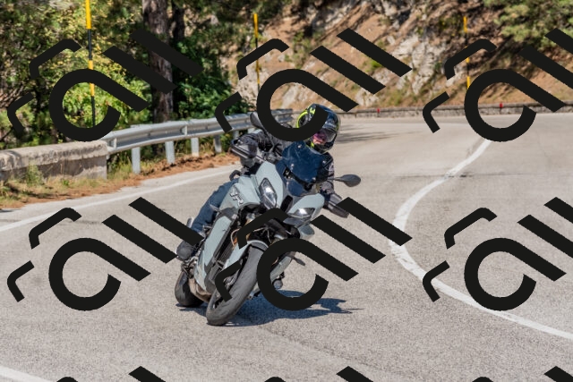 202509201442-DSC_3208_c4_