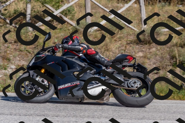 202509201443-DSC_3216_c4_