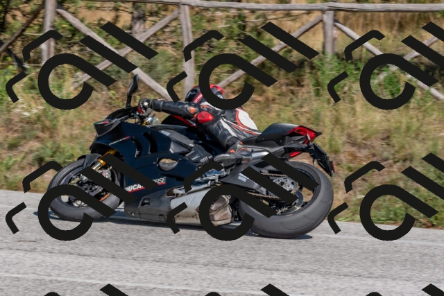 202509201443-DSC_3217_c4_