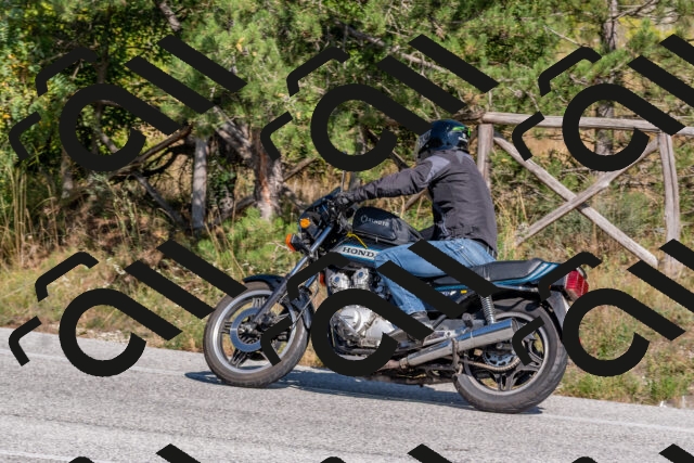 202509201447-DSC_3242_c4_