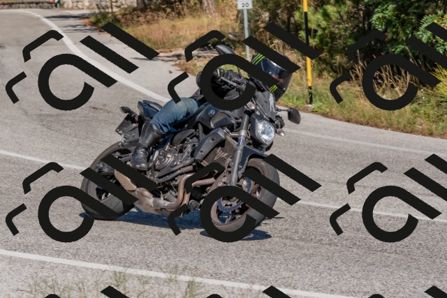 202509201450-DSC_3252_c4_