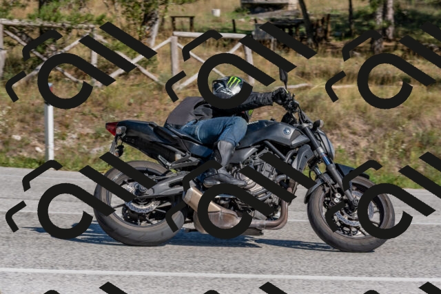 202509201450-DSC_3254_c4_