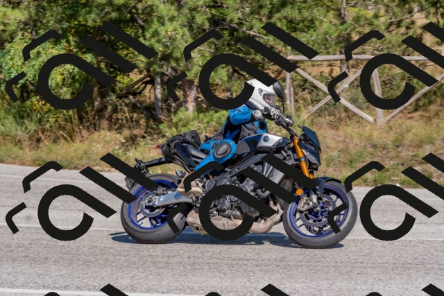 202509201451-DSC_3261_c4_