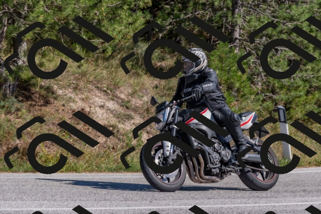 202509201454-DSC_3277_c4_