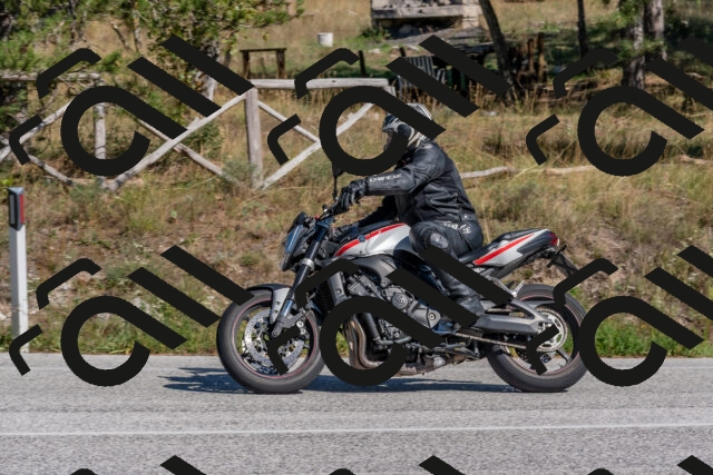 202509201454-DSC_3278_c4_