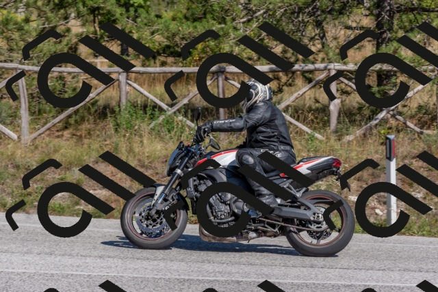 202509201454-DSC_3279_c4_