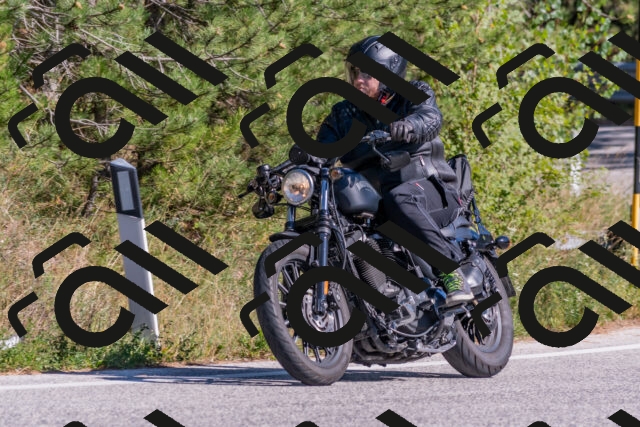 202509201455-DSC_3280_c4_