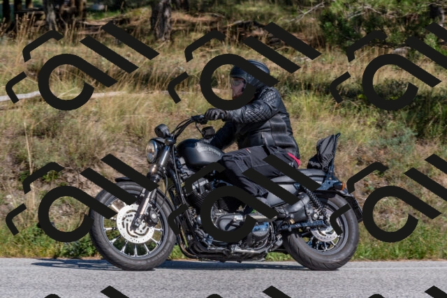 202509201455-DSC_3281_c4_