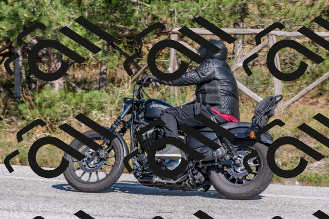 202509201455-DSC_3282_c4_