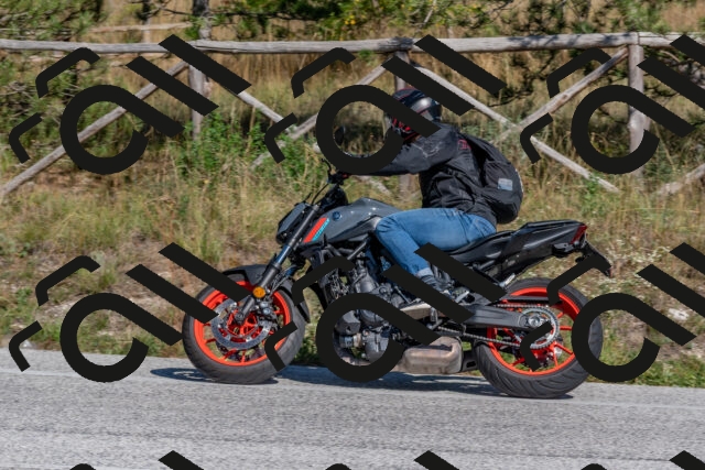 202509201500-DSC_3305_c4_