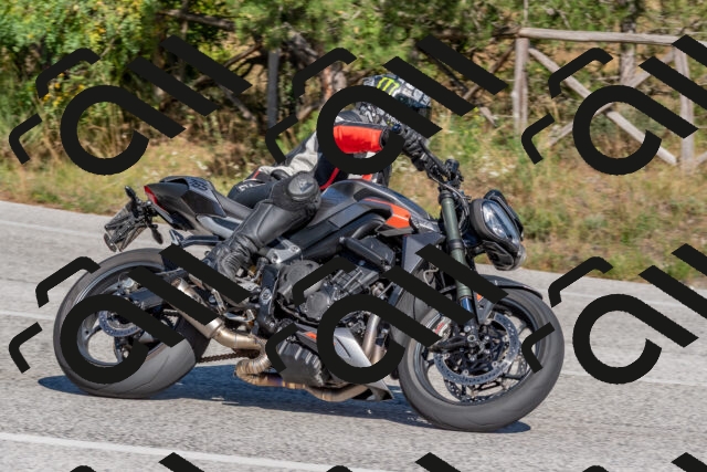 202509201502-DSC_3314_c4_