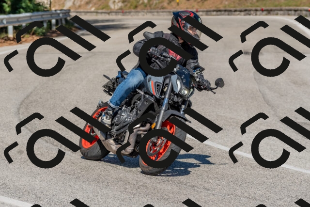 202509201502-DSC_3316_c4_