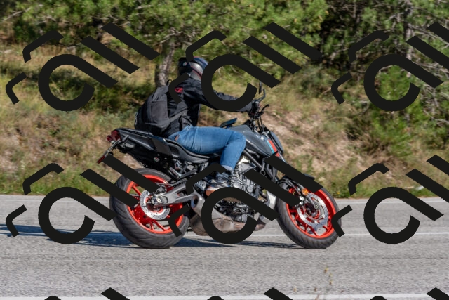 202509201502-DSC_3318_c4_