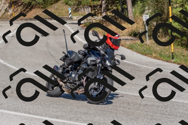 202509201503-DSC_3319_c4_