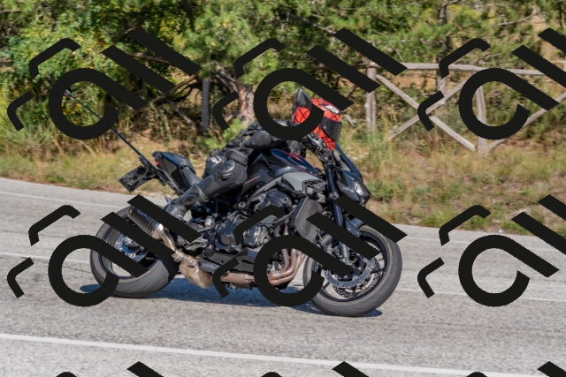 202509201503-DSC_3320_c4_