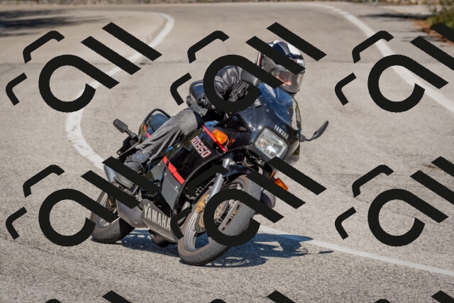 202509201504-DSC_3330_c4_