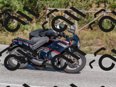 202509201504-DSC_3331_c4_