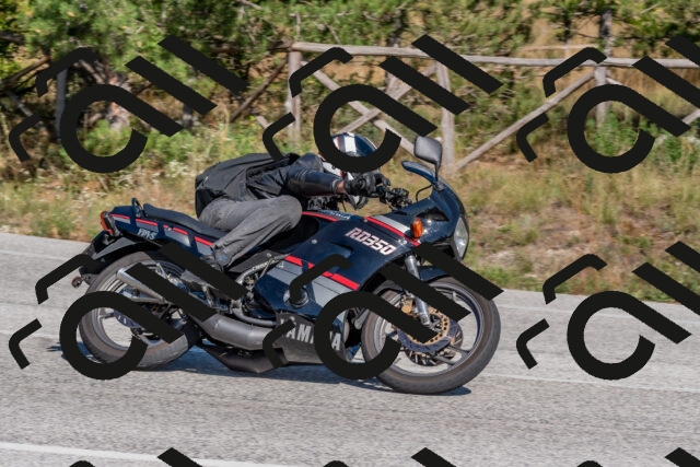 202509201504-DSC_3331_c4_