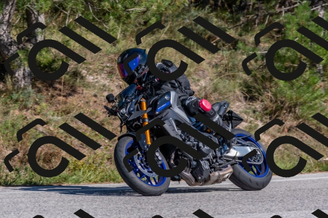 202509201504-DSC_3343_c4_