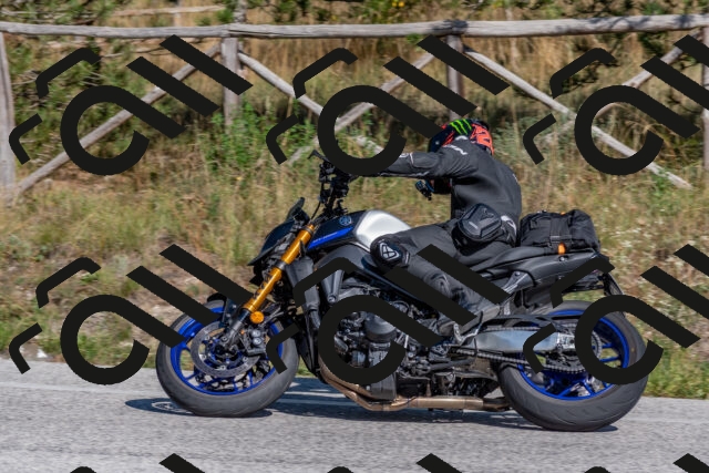 202509201504-DSC_3349_c4_