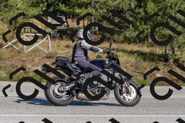 202509201505-DSC_3355_c4_