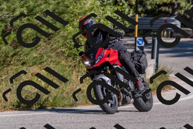 202509201505-DSC_3365_c4_