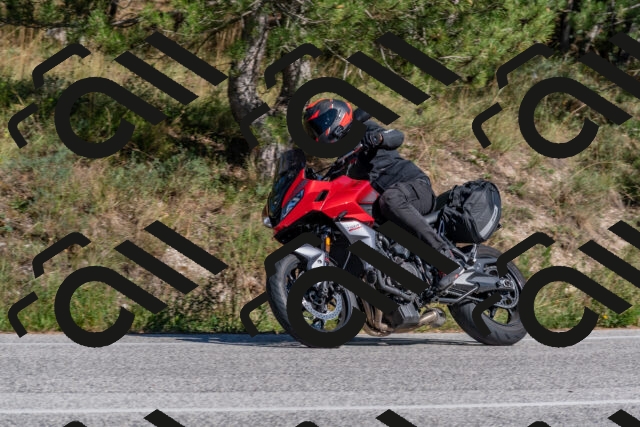 202509201505-DSC_3366_c4_