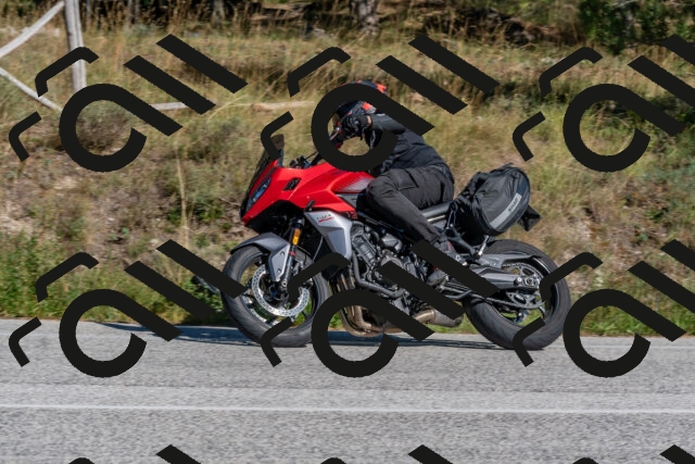 202509201505-DSC_3367_c4_