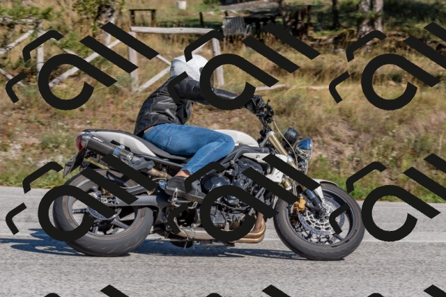 202509201508-DSC_3382_c4_