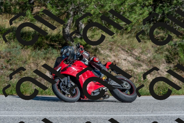 202509201512-DSC_3390_c4_