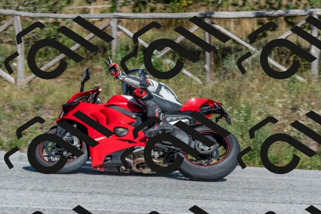 202509201512-DSC_3392_c4_