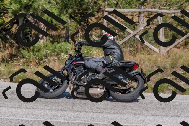 202509201512-DSC_3397_c4_