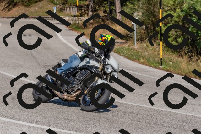 202509201513-DSC_3406_c4_