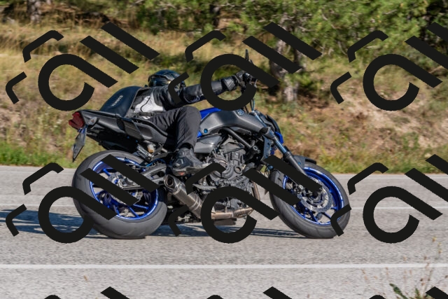 202509201513-DSC_3410_c4_