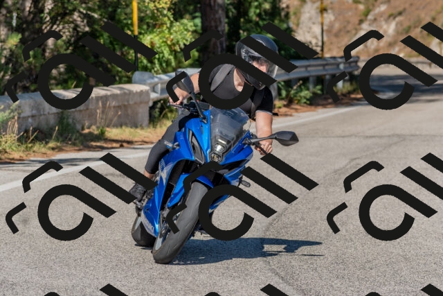 202509201514-DSC_3418_c4_