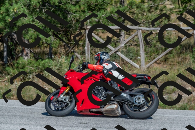 202509201514-DSC_3424_c4_