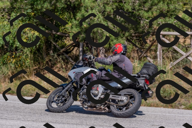 202509201514-DSC_3427_c4_