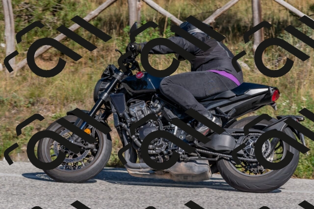 202509201515-DSC_3443_c4_