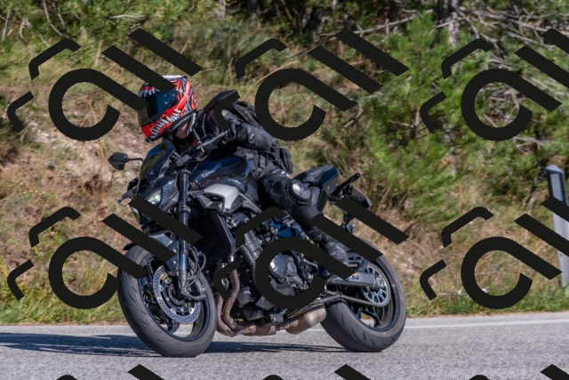 202509201519-DSC_3457_c4_