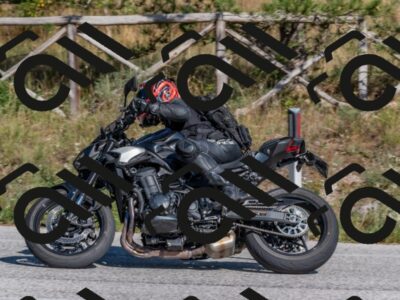 202509201519-DSC_3459_c4_