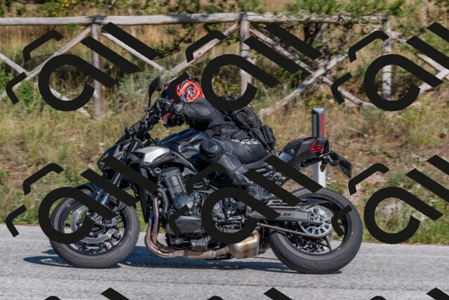 202509201519-DSC_3459_c4_