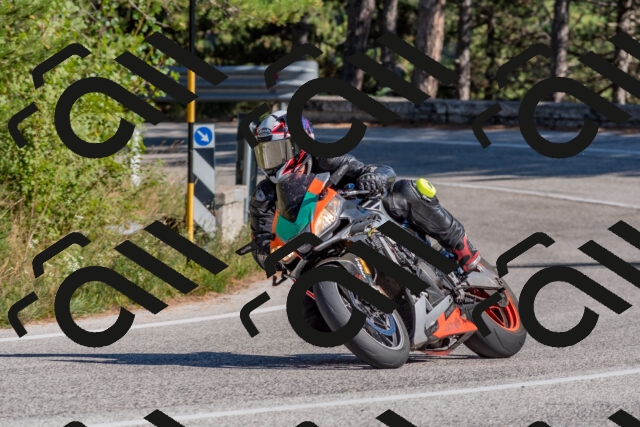 202509201519-DSC_3464_c4_